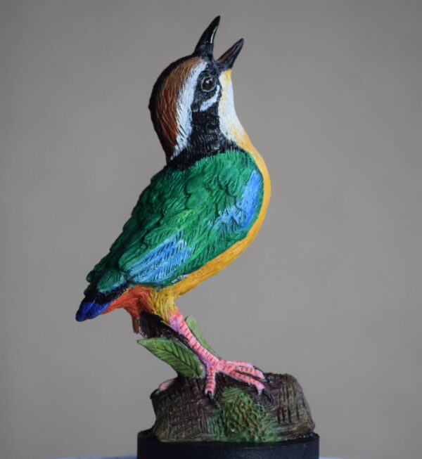 Indian Pitta Bird bird sculpture