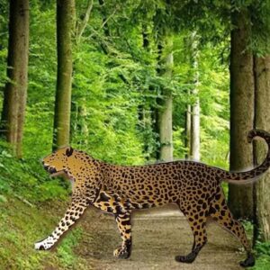 Walking Leopard Lapel Pin