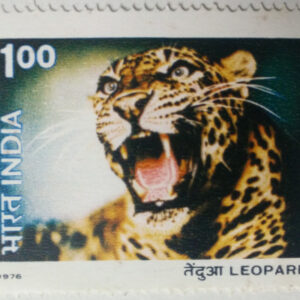 Leopard Wildlife Stamp