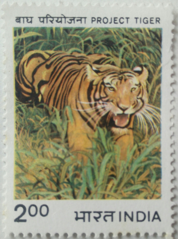 Project Tiger Stamp Rare