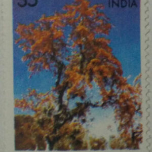 Flowering Trees - Flame of The Forest. Flower, Tree, Flame-of-The Forest, Spathodea campanulata, Fountain Tree, 35 P. - MNH
