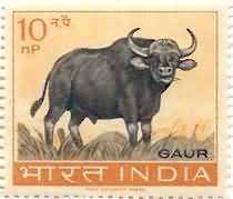 63 Wild Life Preservation - Gaur (Wild Ox). Wild Animal, Indian Bison, Bos gaurus, Wild Cattle, 10 nP. - MNH