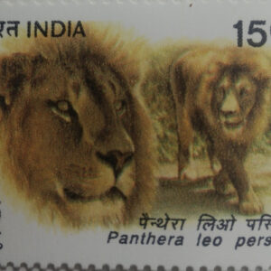 Asiatic Lion Panthera Leo Persica Thematic Rs.3- MNH