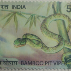 Nature India Snakes , Thematic Bamboo Pit Viper, Rs 5 - MNH