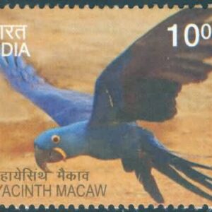 Exotic Birds; Hyacinth Macaw - MNH