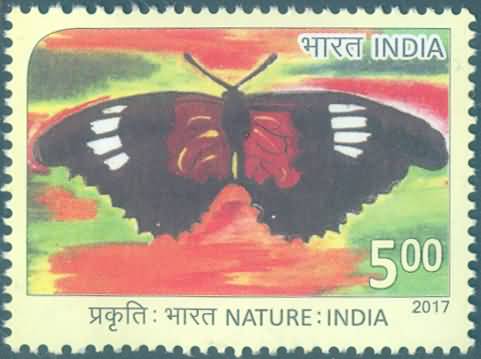 Nature of India; Butterfly - MNH