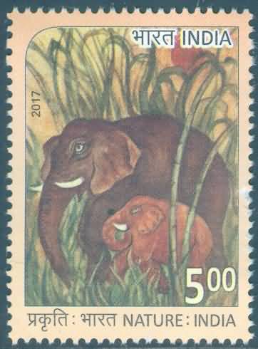 Nature of India; Elephant - MNH