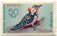 Indian Birds - Woodpecker. Bird, Brown-Fronted Pied Woodpecker, Dendrocopos auriceps, 50 P. (Hinged/Gum washed)