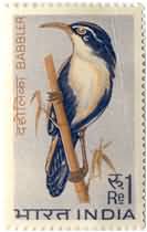 Indian Birds - Babbler. Bird, Scimitar Babbler, Pomatorhinus, Xiphirhynchus, Jabouilleia, 1 Re. (Hinged/Gum washed)
