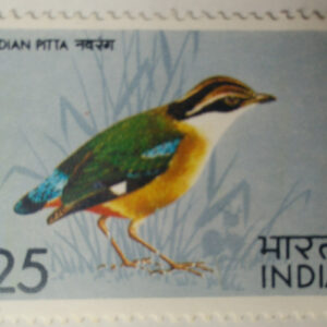 Indian Pitta. Bird, Indian Pitta, Pitta Brachyura, Passerine, 25 P. (Hinged/Gum washed)
