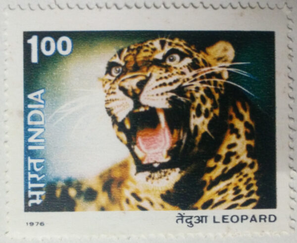 Wild Life - Leopard. Wild Life, Leopard, Panthera pardus, Panther, Felidae, Rs. 1 (Hinged/Gum washed)