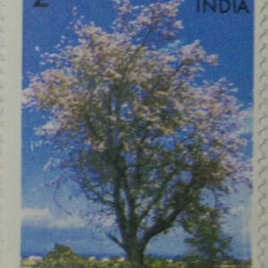 Flowering Trees - Bauhinia. Flower, Tree, B. divaricata, Kachnar,Rs. 2 (Hinged/Gum washed)