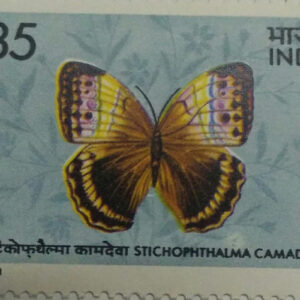 Butterflies - Stichophthalma Camadeva. Brush-Footed Butterfly, Stichophthalma camadeva, Morphinae,35 P. (Hinged/Gum washed)