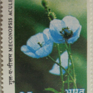 Himalayan Flowers - Blue Poppy. Wild Flower, Blue Poppy, Meconopsis aculeata, Botany, 35 P. (Hinged/Gum washed)