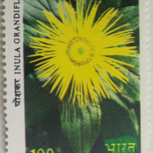 Himalayan Flowers - Inula grandiflora. Flower, Inula grandiflora, Showy Inula, Poshkar, Rasan, Zanjabil-i-shami, Botany, Rs. 1 (Hinged/Gum washed)