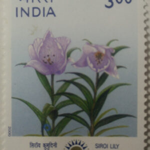 "Indepex-Asiana 2000";Lilium macklinae (Hinged/Gum washed)