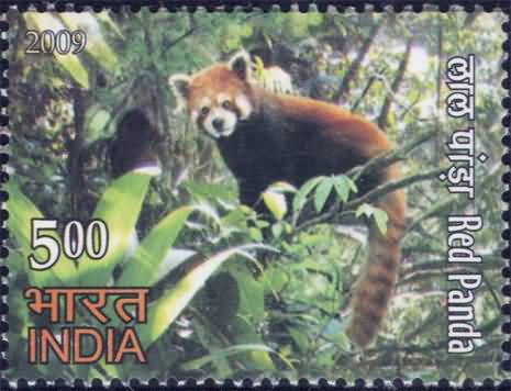 RED Panda Thematic Red Panda Rs. 5 - MNH