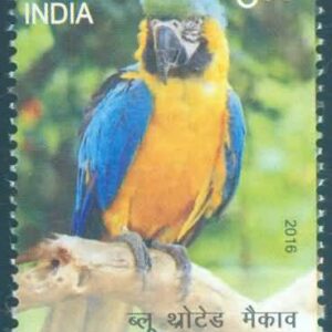 Exotic Birds; Blue Throated Macaw - MNH