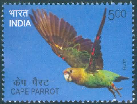 Exotic Birds; Cape parrot - MNH