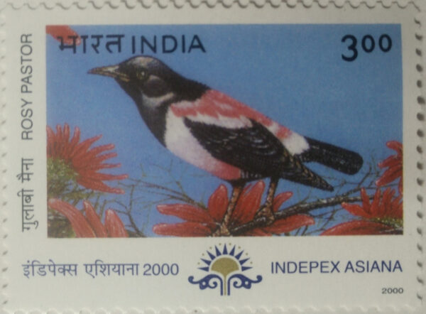 Rosy Pastor Migratory Birds Thematic Indepex Asiana 2000 Rs.3 (Hinged/Gum washed)