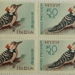 Indian Birds - Woodpecker. Bird, Brown-Fronted Pied Woodpecker, Dendrocopos auriceps, 50 P