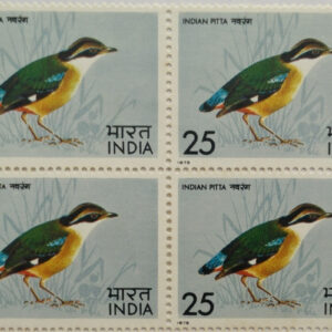 Indian Pitta. Bird, Indian Pitta, Pitta Brachyura, Passerine, 25 P