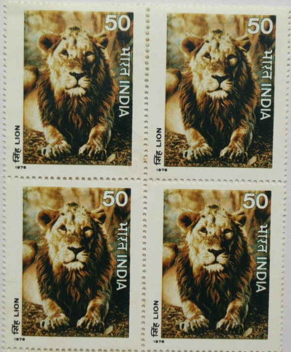 Wild Life - Lion. Wild Life, Lion, Panthera Leo, Big Cat, 50 P