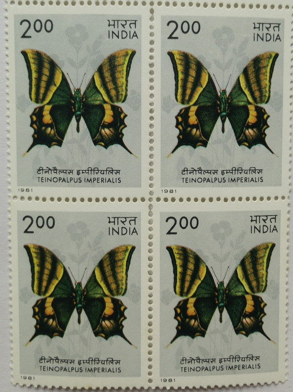 Butterflies - Teinopalpus Imperialis. Swallowtail Butterfly, Teinopalpus imperialis, Kaiser-i-Hind,Rs. 2