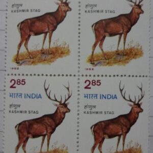 Wildlife week, Hangul Red Deer stag