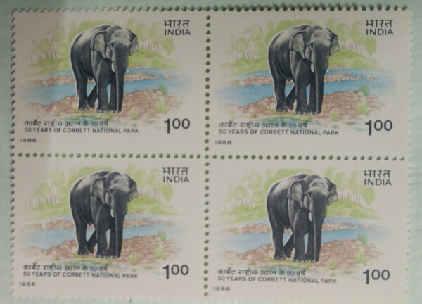 50th Anniv.of Corbett National park , Elephus maximus Indian Elephant