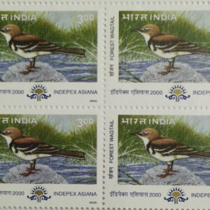 Forest Wagtail Migratory Birds Thematic Indepex Asiana 2000 Rs.3
