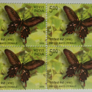Endemic Butterflies of Andaman And Nicobar; Andaman mormon