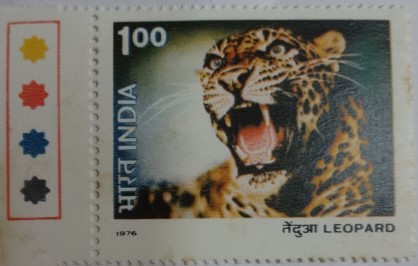Leopard (Hinged/Gum Wash)