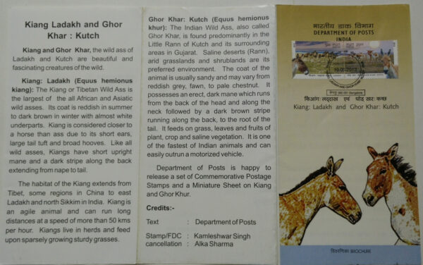 Wild Ass of Kutch & Ladakh - Kiang : Ladakh Kiang, Equus KiangGhor Khar : Kutch Ghor Khar, Khur, Equus Hemionus khur,, Wild Ass (SBR)