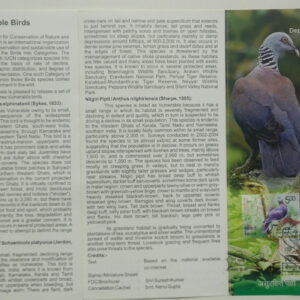 Vulnerable Birds (Set of 3) (SBR)