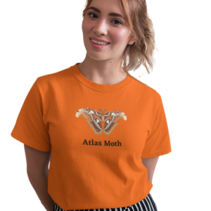 wildlifekart.com Presents Women Cotton Regular Fit T-Shirt | Design : Atlas moth