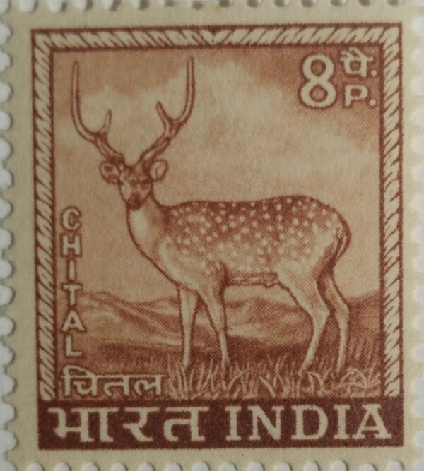 4th Series Chittal (Spotted Deer) -8p(Df)