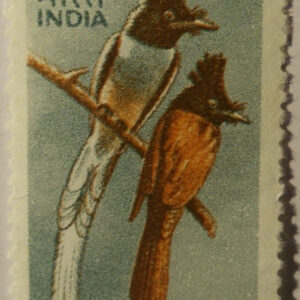 9th Series Paradise Flycatcher -Rs.50(Df)