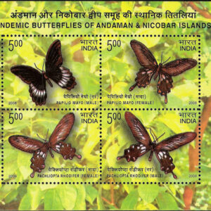 Endemic Butterflies of Andaman & Nicobar Islands - 2008 (PMS)