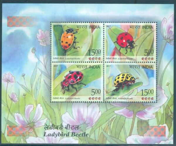 Ladybird Beetle - 2017 (PMS)