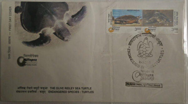 First Day Cover 29 Jan. '00 "Millepex 2000" , National Philatelic Exhibition, Bhubaneshwar. Endangered Species: Turtles.(FDC-2000)