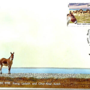 First Day Cover 10 May.'13 Kiang : Ladakh and Ghor Khar : Kutch Wild Asses.(FDC-2013)