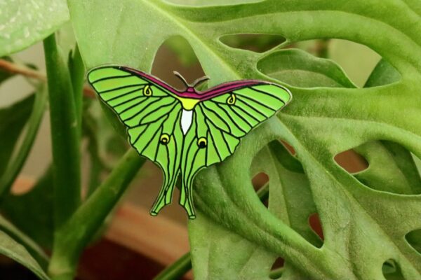 Luna Moth Lapel Pin by Wildcorner, 1 of its kind Lapel Pin