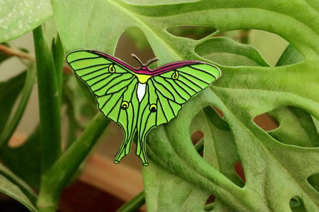 Luna Moth Lapel Pin by Wildcorner, 1 of its kind Lapel Pin